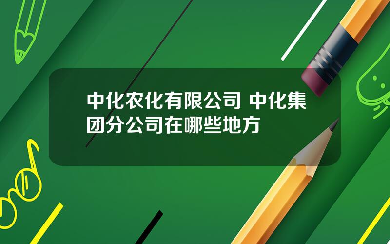 中化农化有限公司 中化集团分公司在哪些地方